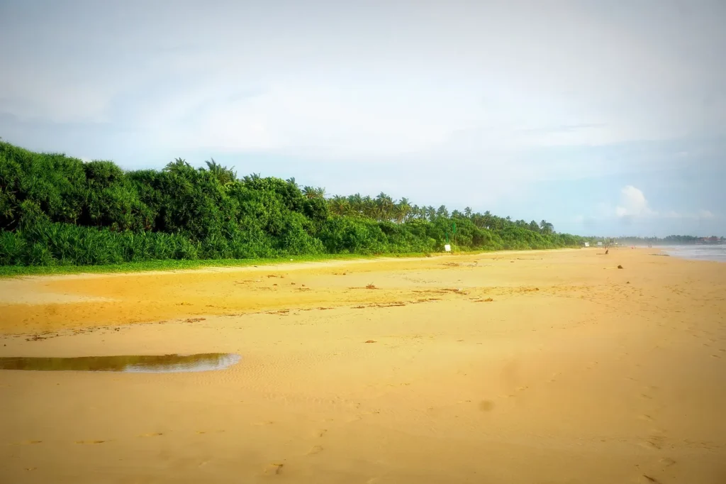 Bentota beach, Sri Lanka – Island Walkers